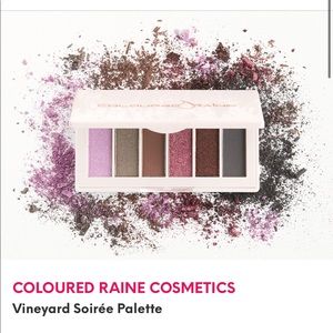 Colored Raine Purple eyeshadow Palette NWT